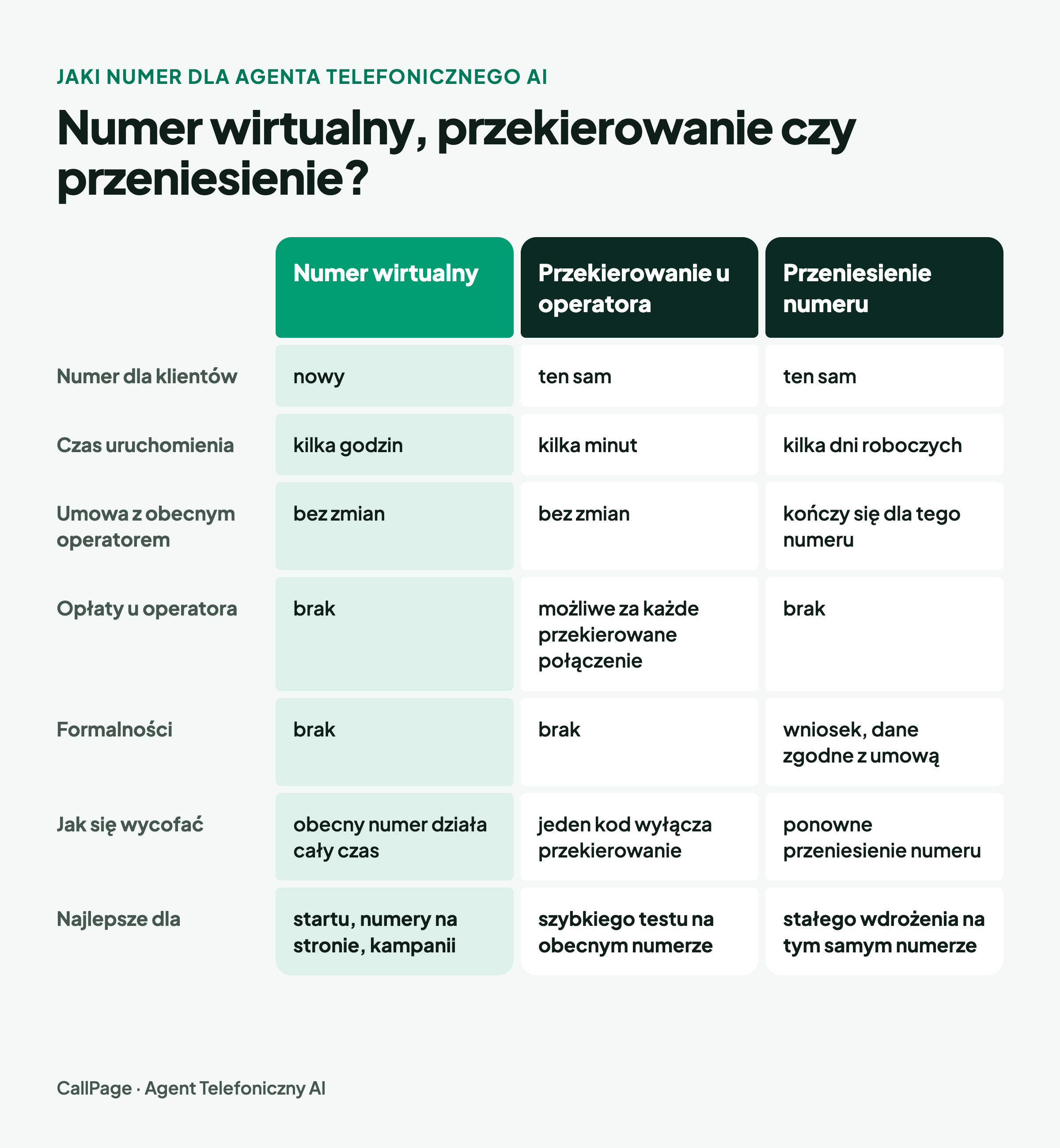 Blog-·-Porównanie-opcji_2x.webp