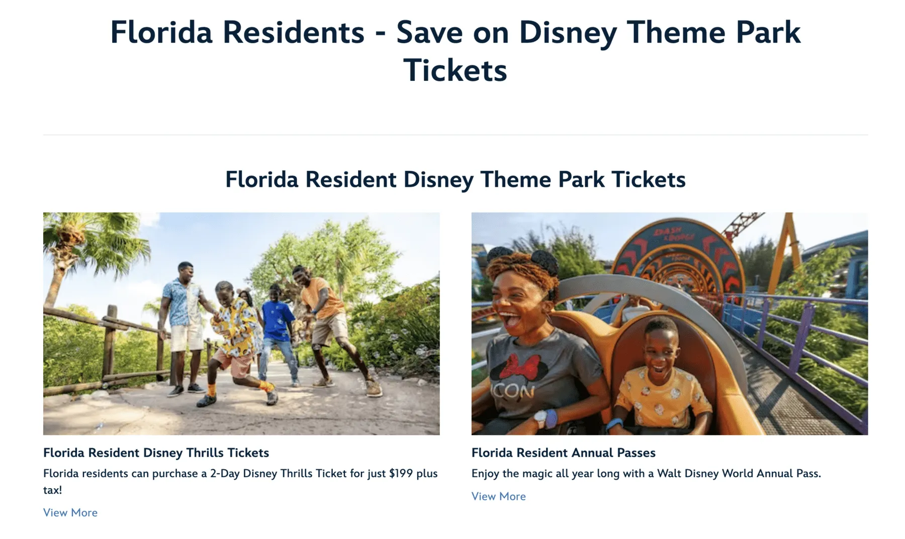 Disney Theme Park tickets offer for locals